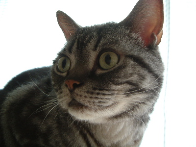 a0079803_0525810.jpg