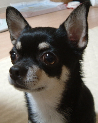 a0079803_105859.jpg