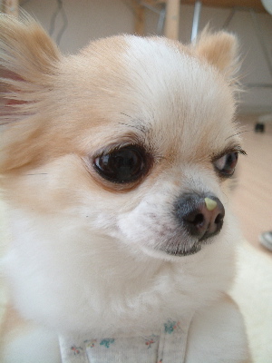 a0079803_122560.jpg