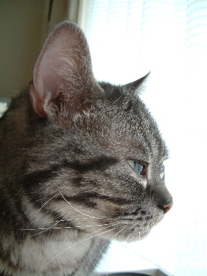 a0079803_1234112.jpg
