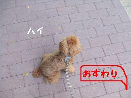 a0007906_9193891.jpg