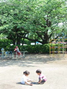 e0014507_19382121.jpg