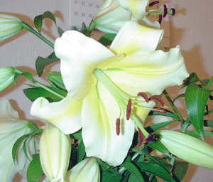 a0055913_18242426.gif