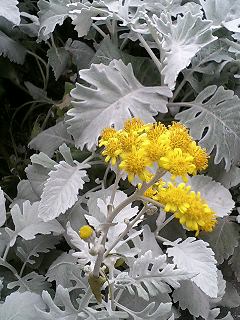 e0026017_21293571.jpg