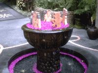 d0038319_10232776.gif