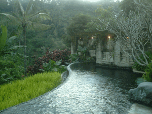 d0038319_1027565.gif