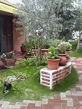 e0094325_172311.jpg