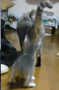 f0002743_13353116.jpg