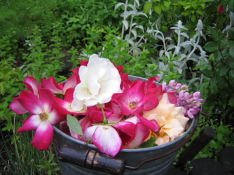 b0075046_2002790.jpg