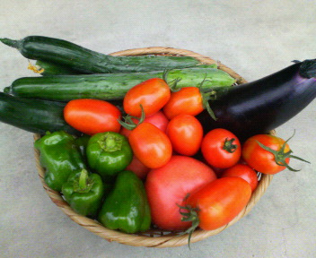 f0088647_0485531.jpg
