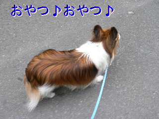 d0013149_0154291.jpg