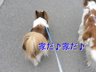 d0013149_0161047.jpg