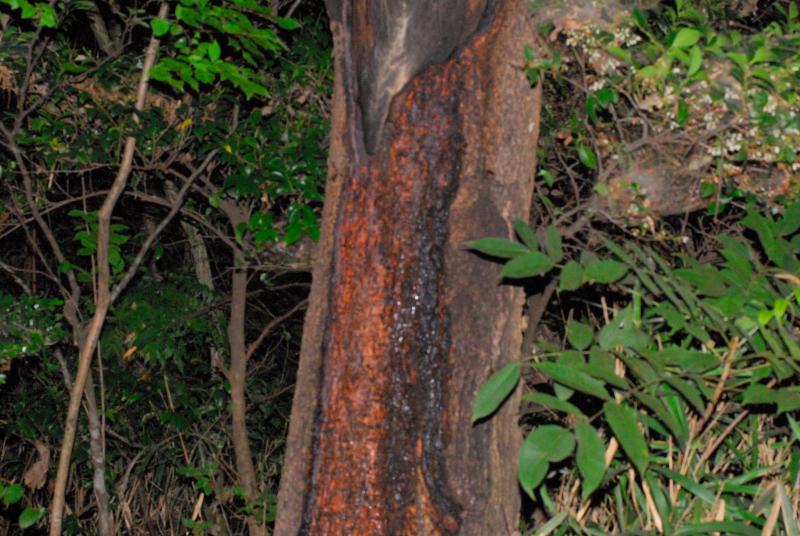 f0049152_23551294.jpg