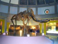 b0086858_16332941.jpg