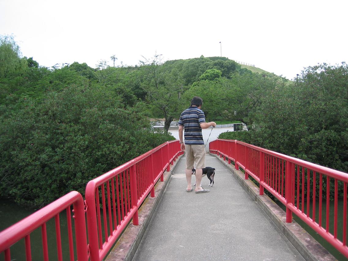 a0080889_1231869.jpg