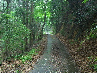 f0011490_18414672.jpg