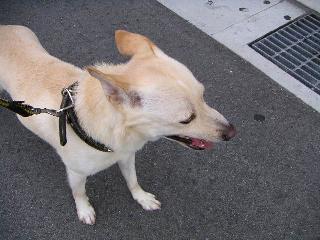 a0018200_11584647.jpg