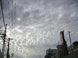 a0018200_1158549.jpg