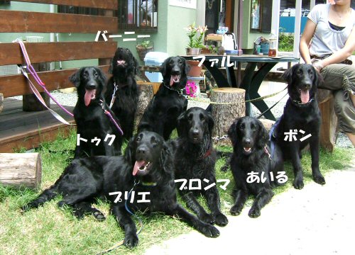 c0050400_19431023.jpg