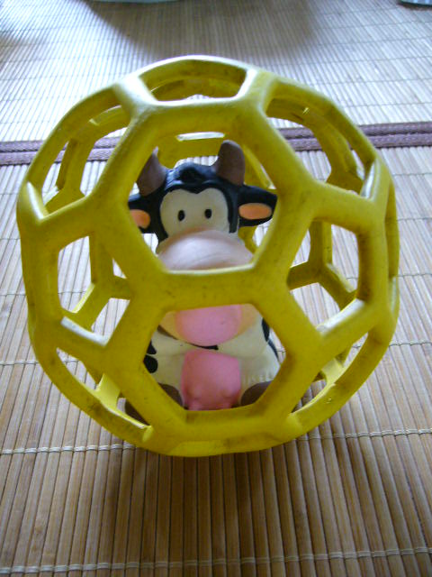 d0070702_20361228.jpg