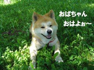 b0081503_1655546.jpg