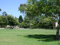 a0068810_12335114.jpg