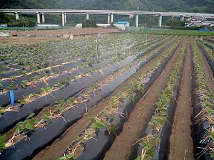 b0076710_13541869.jpg