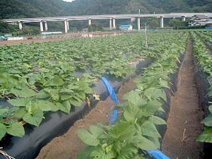 b0076710_13552928.jpg