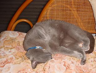 c0066610_17191199.jpg