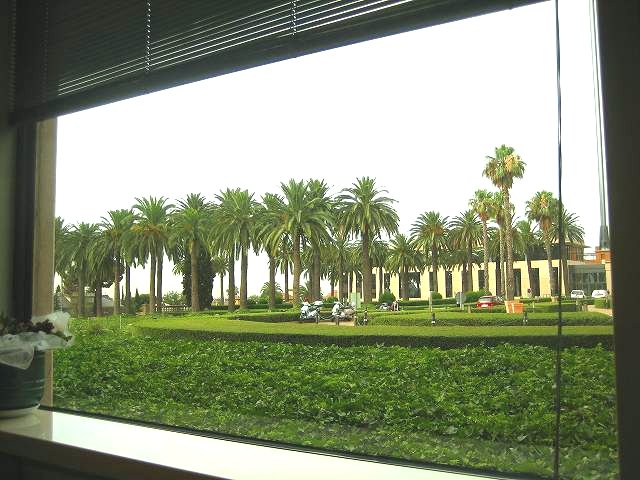 b0064411_2102.jpg
