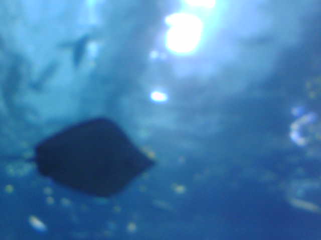 f0081117_23411159.jpg