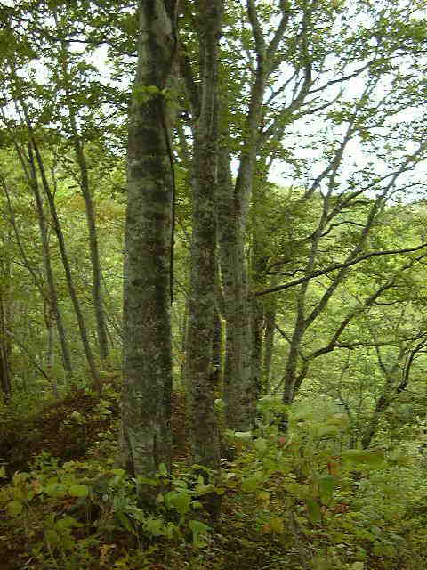 f0100920_17492520.jpg