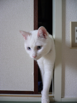 f0073833_853535.jpg