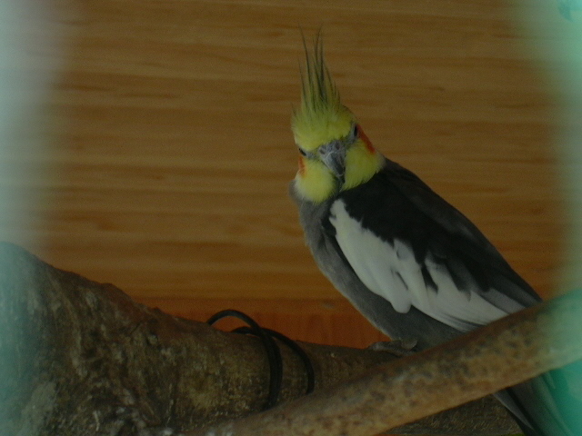 d0039036_18185525.jpg