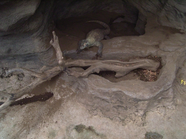 c0066942_1322174.jpg