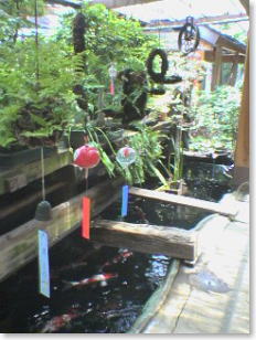 c0023545_23205924.jpg