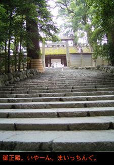 e0000251_13564496.jpg
