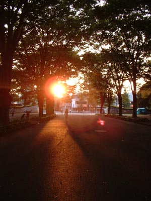 d0021258_232437.jpg