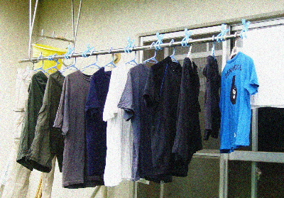 b0015260_8593831.jpg
