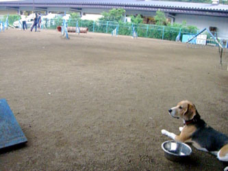 e0007060_21435045.jpg