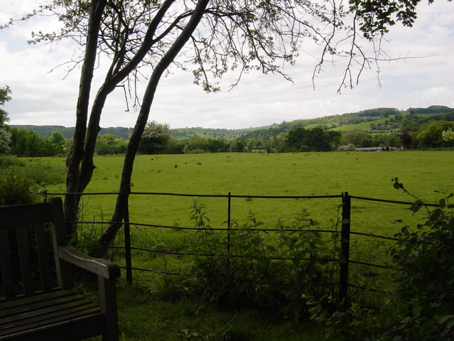 d0047662_2316698.jpg