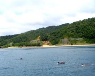 b0062363_18442398.jpg