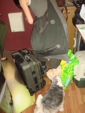 b0091373_0343932.jpg