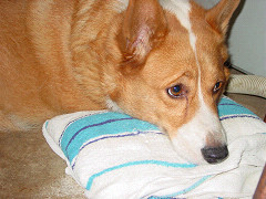 f0003174_1140147.jpg