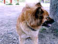 a0079292_1081054.jpg