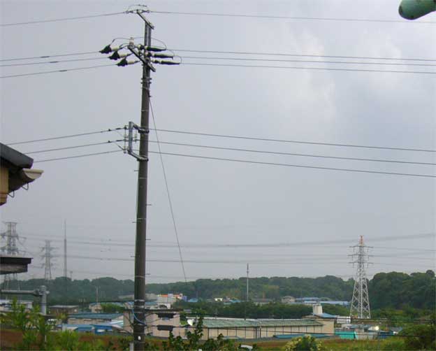 e0018604_1852881.jpg