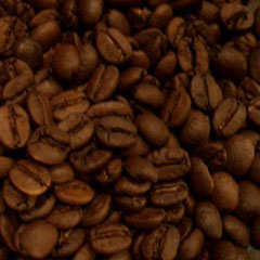 c0036617_1740598.jpg