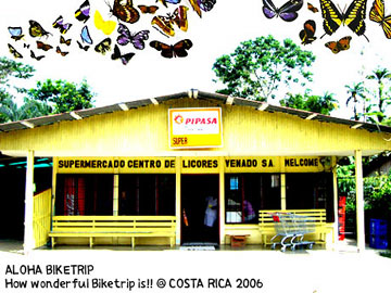 d0023725_235564.jpg