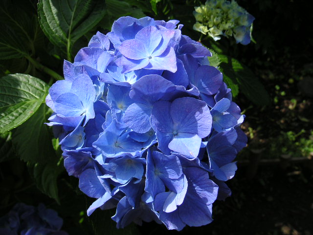 a0020929_2275978.jpg