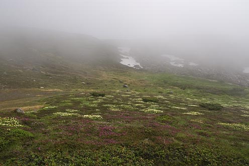 e0025030_18512048.jpg